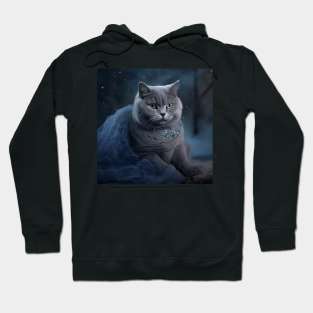 Bridal British Shorthair Hoodie